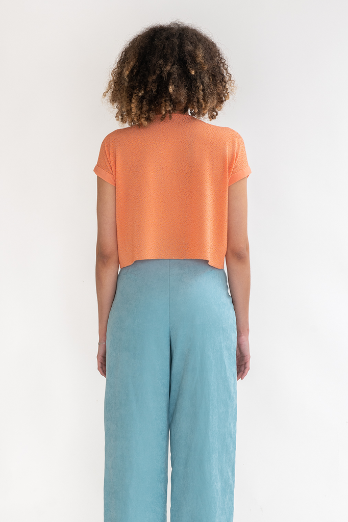 The Jupiter Top